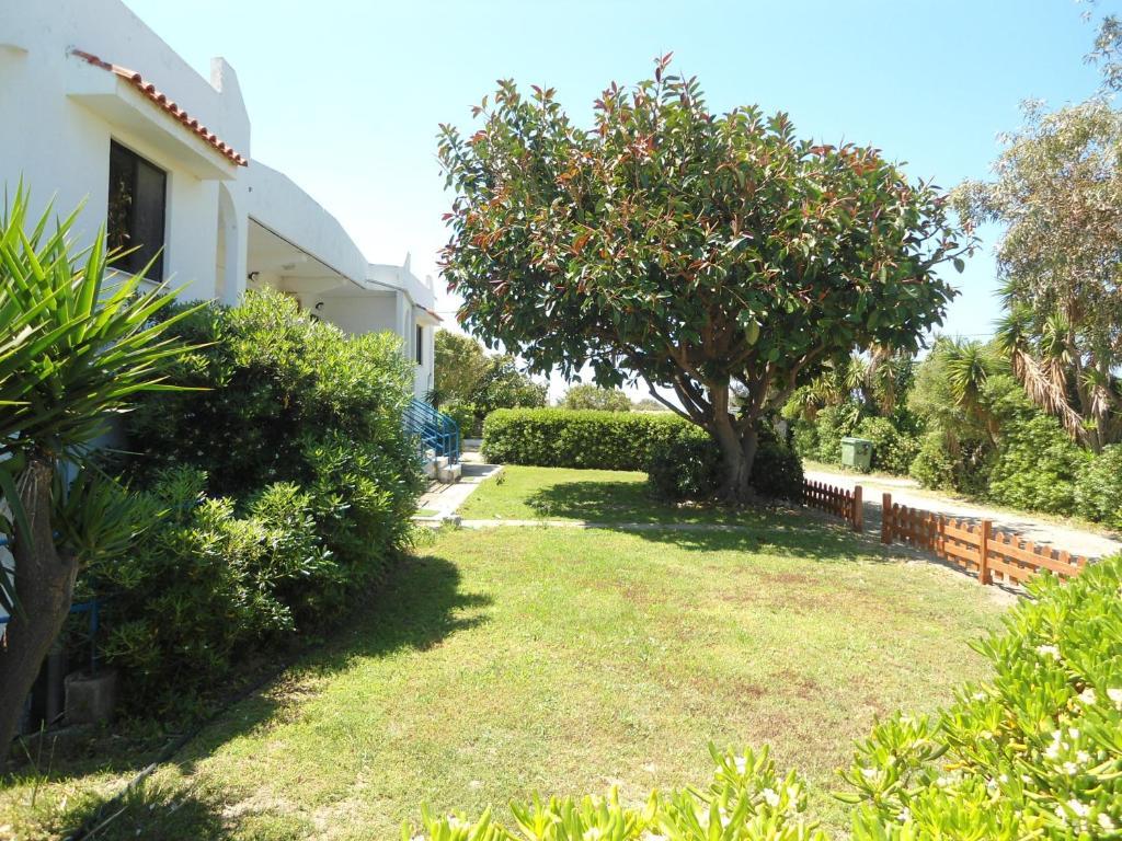 Evi Apartments And Studios Θεολόγος Δωμάτιο φωτογραφία