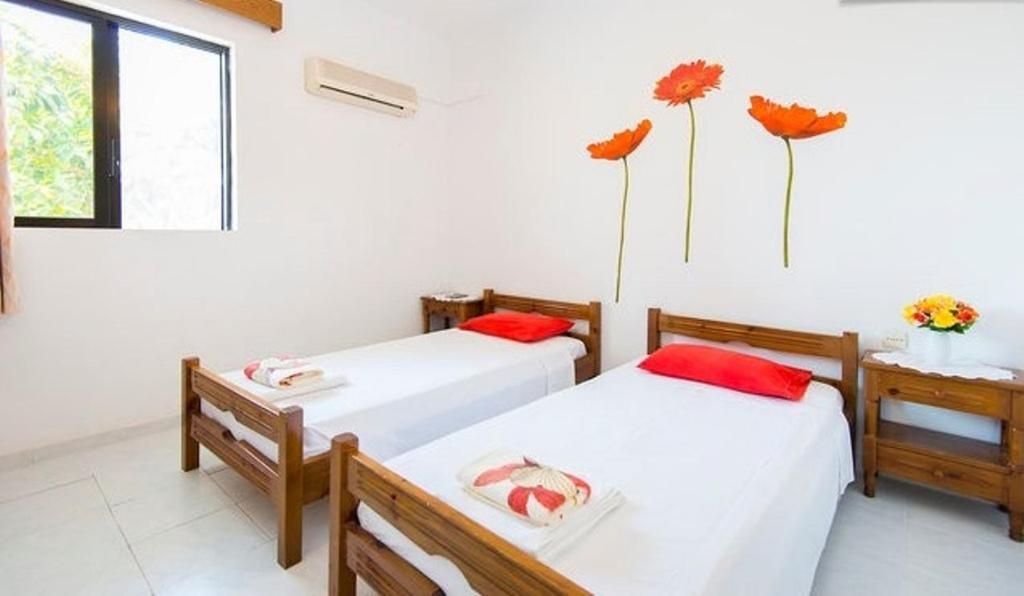 Evi Apartments And Studios Θεολόγος Δωμάτιο φωτογραφία
